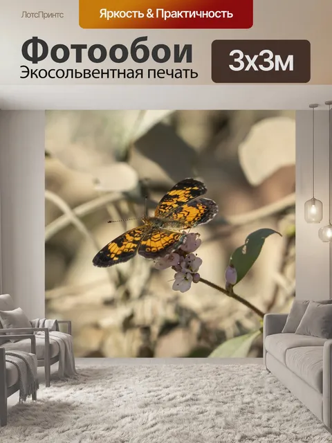Фотообои Бабочка