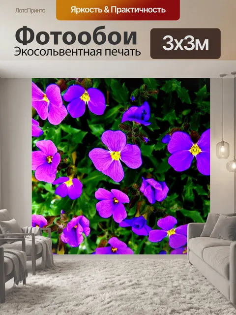 Фотообои Сад