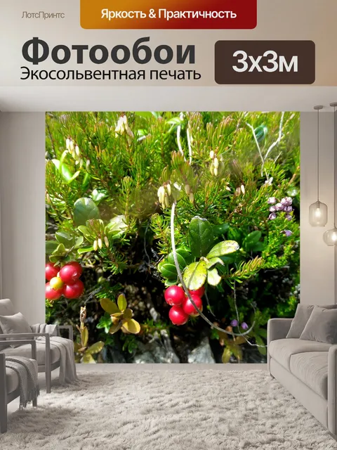 Фотообои Ягоды