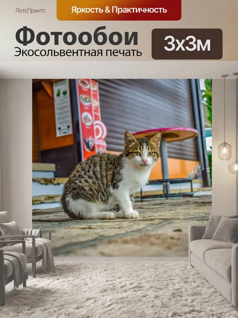 Фотообои Кошка