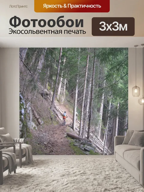 Фотообои Лес
