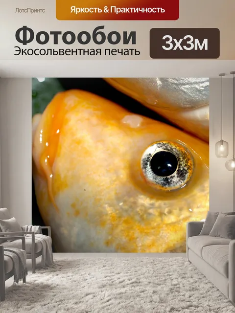Фотообои Пресноводная рыба фото