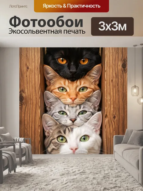 Фотообои Четыре кота в деревянных рамках