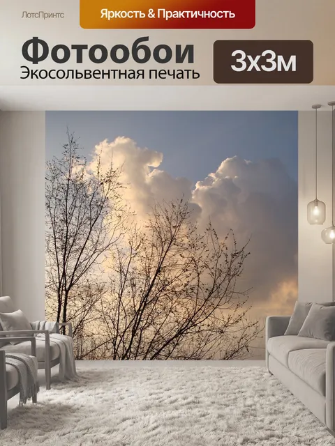 Фотообои Деревья