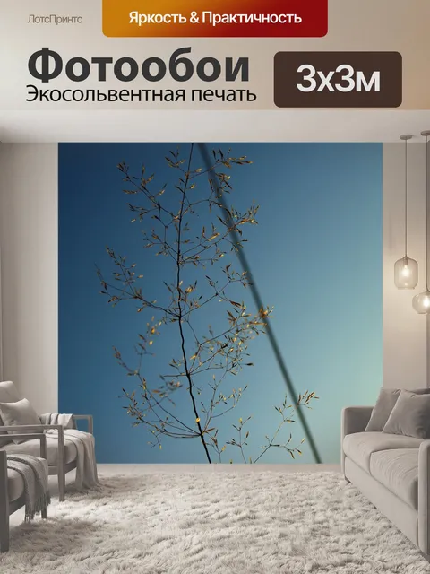 Фотообои Небо