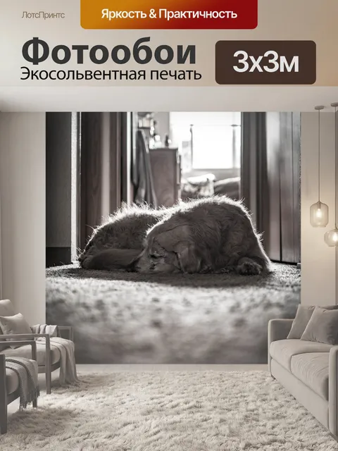 Фотообои Собака