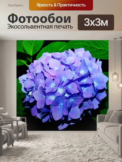 Фотообои Расцветает