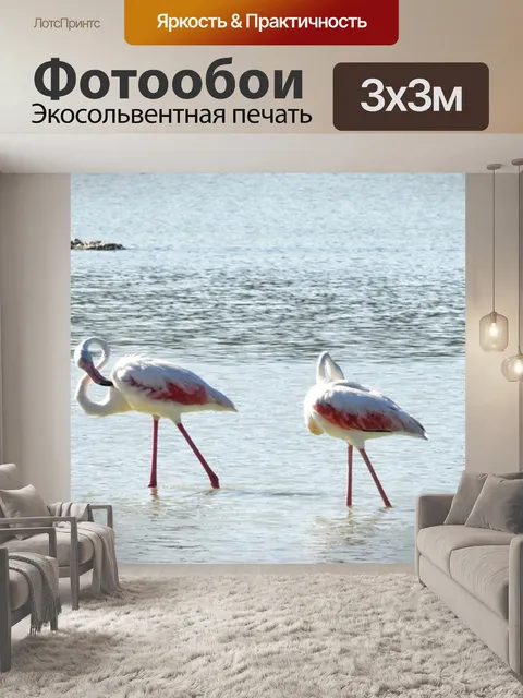 Фотообои Фламинго