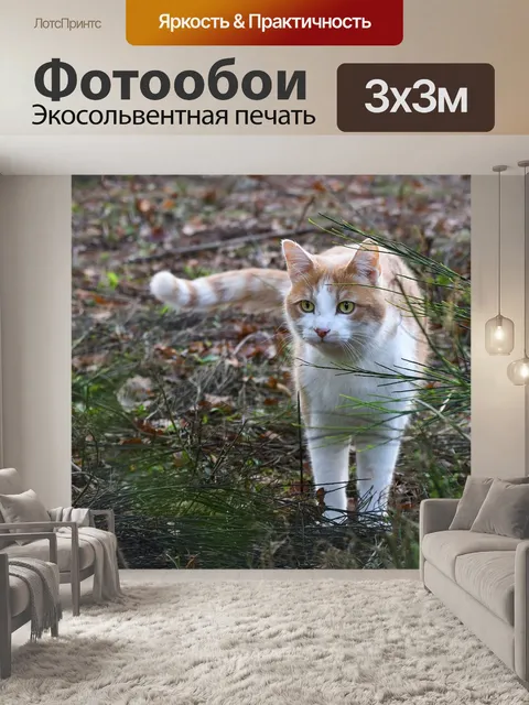 Фотообои Кошка