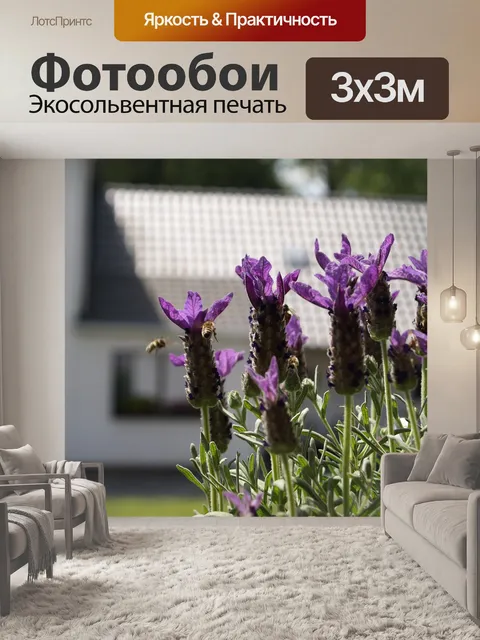 Фотообои Пчела