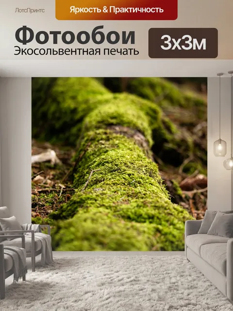 Фотообои Мох
