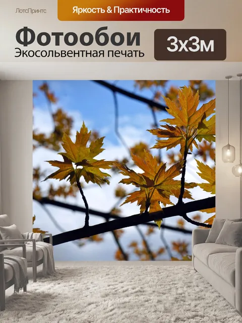 Фотообои Дерево