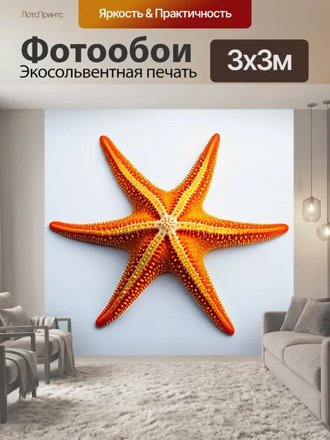 Фотообои животные в стиле минимализм с забавными и яркими изображениями морских звёзд