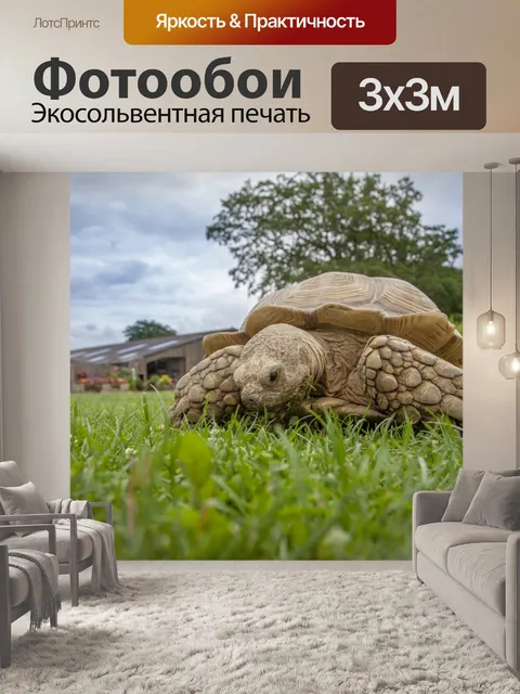 Фотообои Черепаха на траве