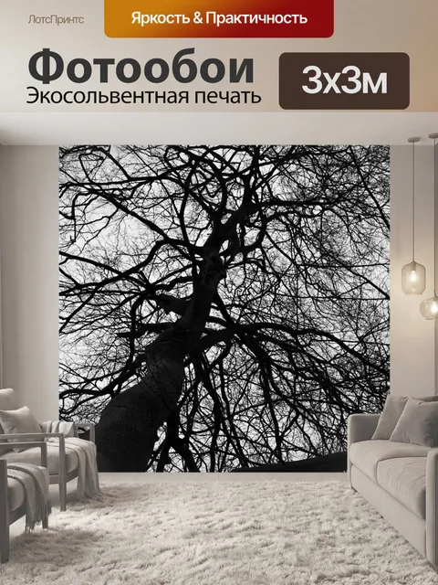 Фотообои Деревья без листьев