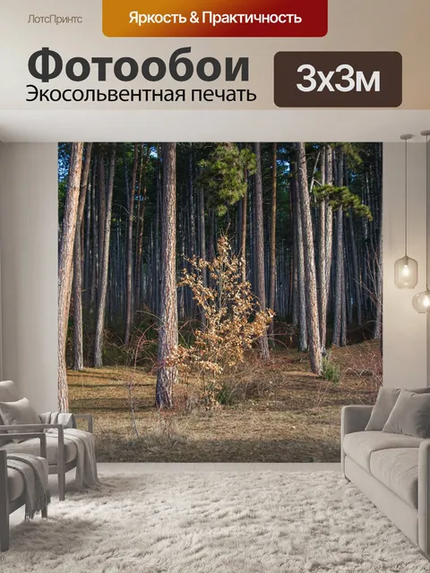 Фотообои Лес