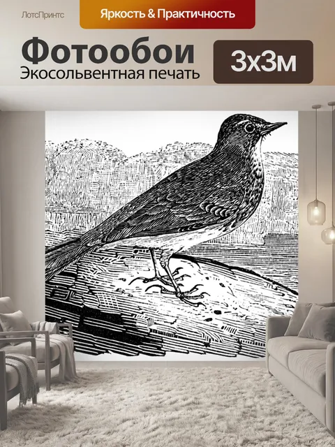 Фотообои Рок конь