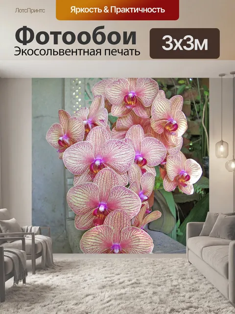 Фотообои Орхидеи