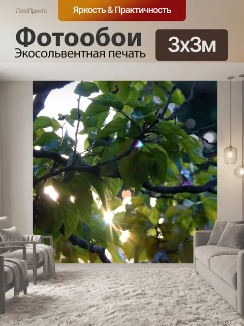 Фотообои несколько солнечных лучей сквозь листья