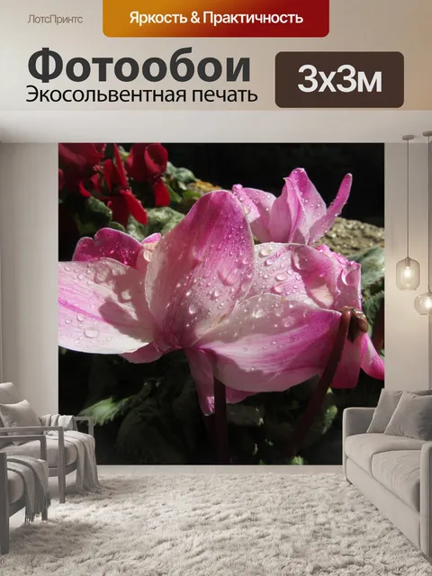 Фотообои Цветы