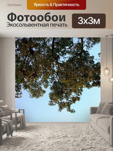 Фотообои Листва в солнечном свете