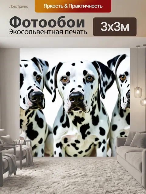 Фотообои Далматинцы, крупный план, белые собаки с черными пятнами, группа животных, плотное расположение…