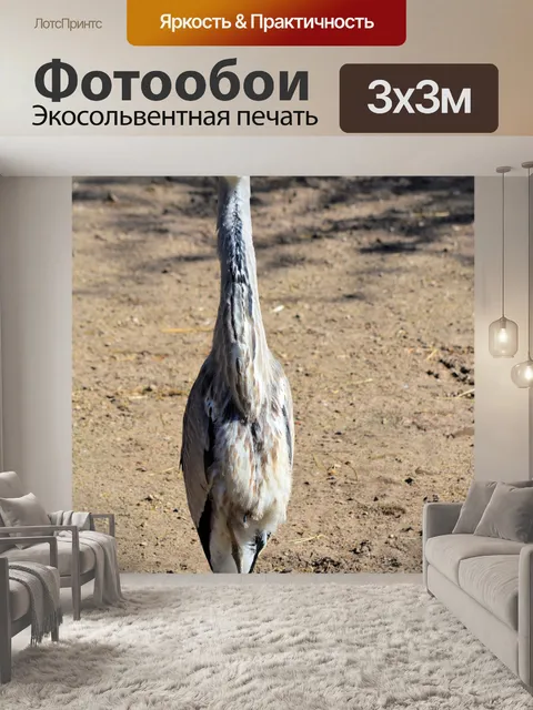 Фотообои Цапля