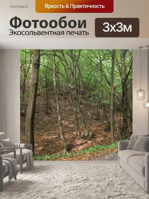 Фотообои Лес
