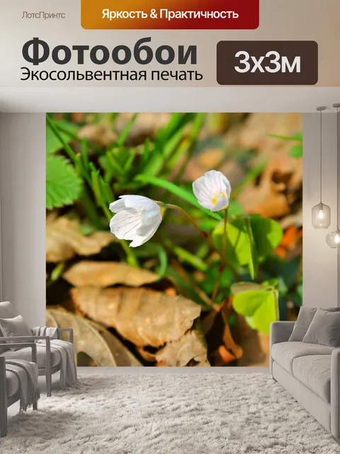 Фотообои Лес