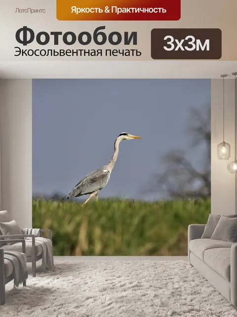 Фотообои Цапля