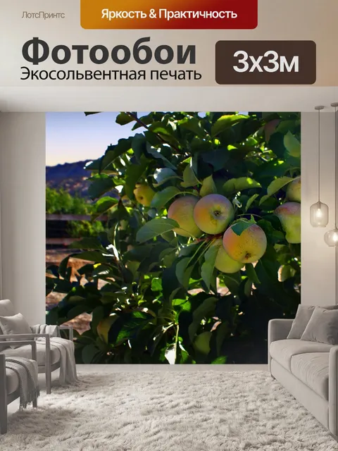Фотообои Яблоки на ветке