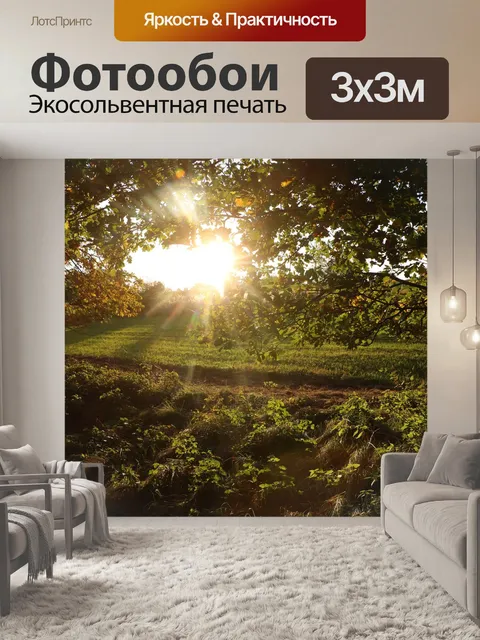 Фотообои Лес