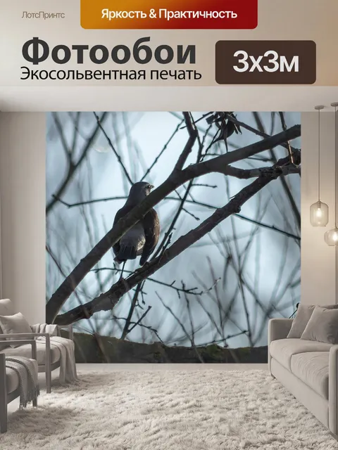 Фотообои Птица