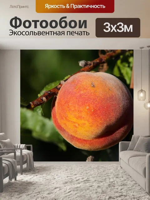 Фотообои Персик