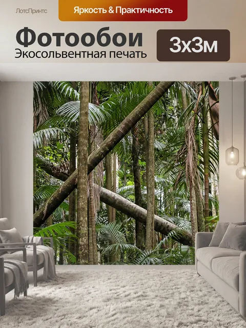 Фотообои Эвкалипты