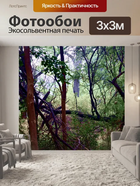 Фотообои Лес 13