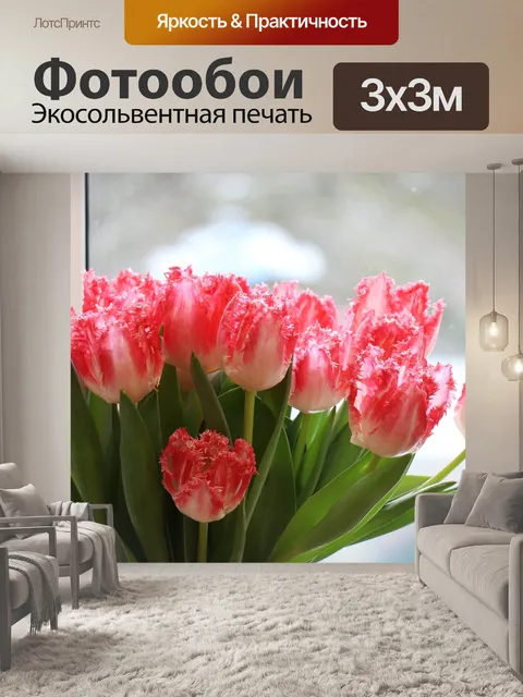 Фотообои Тюльпаны