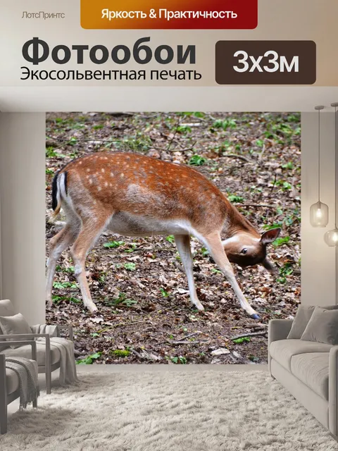 Фотообои Олень