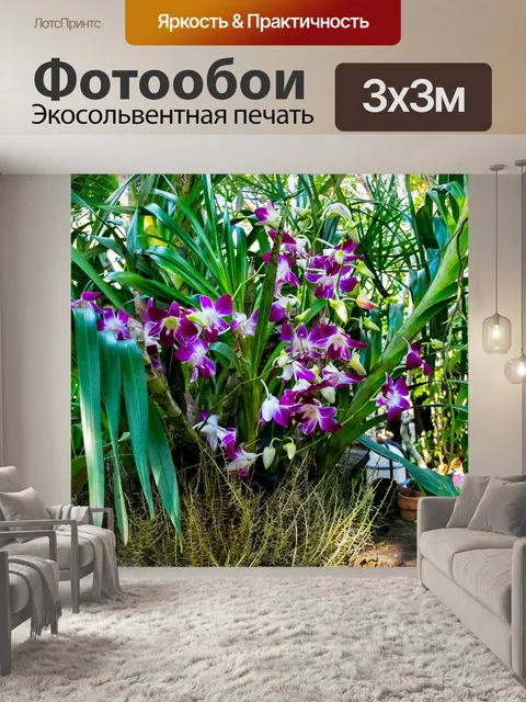 Фотообои Орхидея