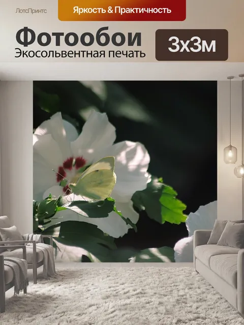 Фотообои Белый