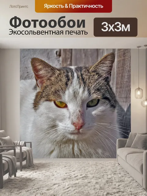Фотообои Симпатичные