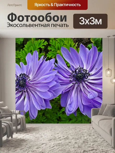 Фотообои Анемоны