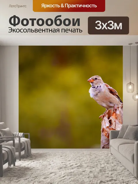 Фотообои Птицы