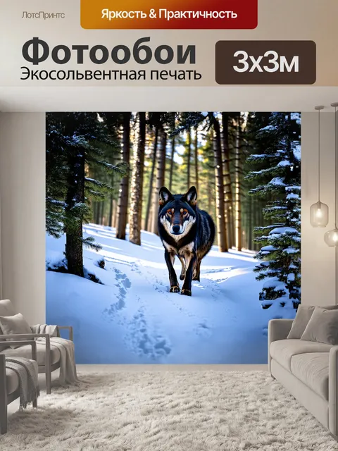 Фотообои черный волк бродит по снежному лесу, его следы видны на свежем снегу, упругом от зимнего холода