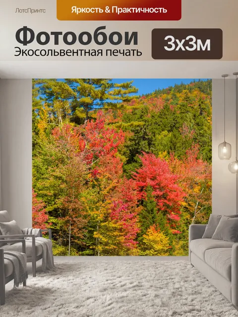 Фотообои Осенние деревья у реки