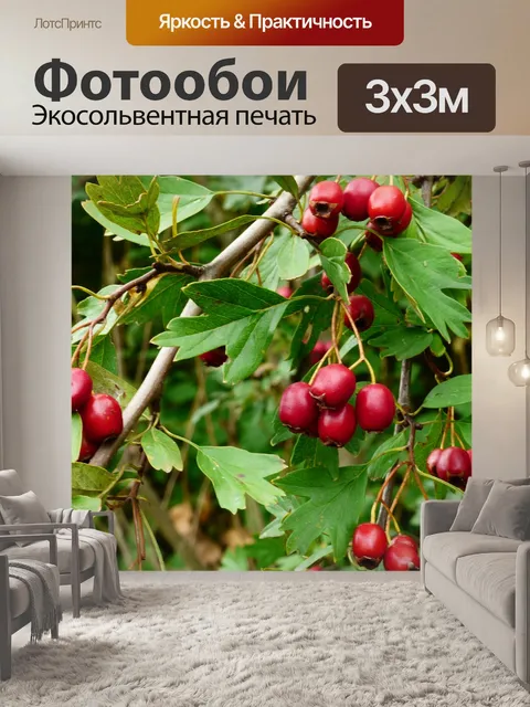 Фотообои Дерево