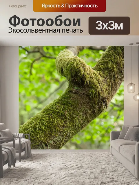 Фотообои Мох