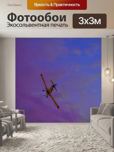 Фотообои полет на закате