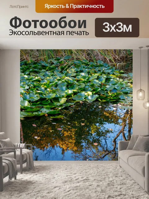 Фотообои Ботанический сад в Быдгоще
