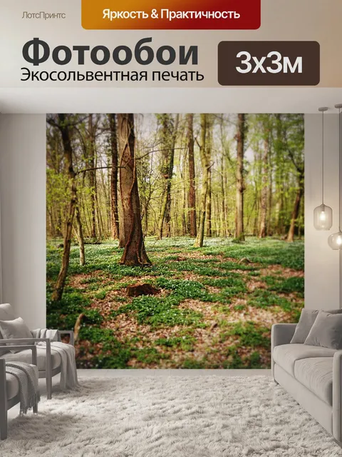 Фотообои Лес
